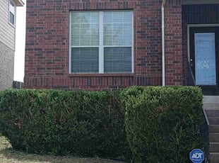 Rodney K.'s Bush Trimming service result