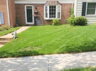 Marian C.'s turf maintenance service result