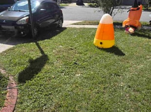 Ivette J.'s turf maintenance service result