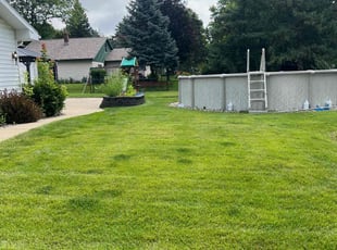 Caron S.'s lawn care service result