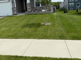 James J.'s turf maintenance service result