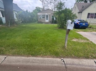 Dee D.'s grass maintenance service result