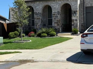 Nathanial H.'s turf care service result