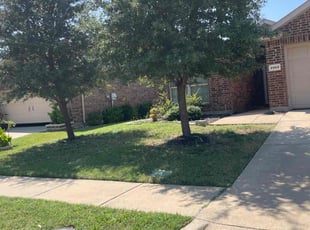 Rick S.'s turf maintenance service result