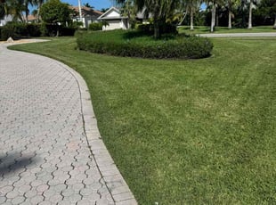 Scott N.'s lawn service service result
