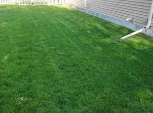 Angelica R.'s turf maintenance service result