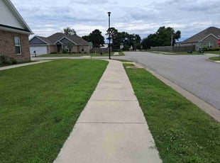 Jose S.'s turf maintenance service result