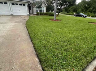 Diana L.'s yard care service result