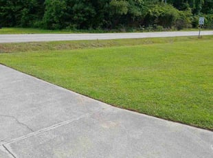 Robert C.'s landscaping service result