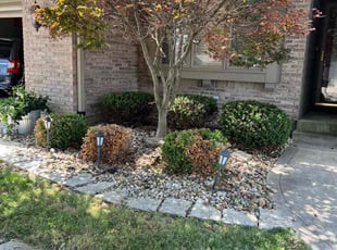 Matt S.'s Bush Trimming service result