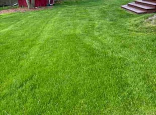 Brittany W.'s lawn care service result