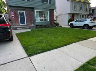 Nichole M.'s lawn maintenance service result