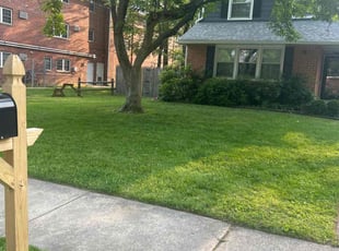 Young W.'s lawn care services service result