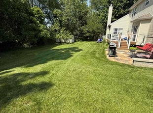 Dion S.'s lawn maintenance service result