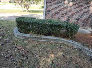 Jeannette A.'s Bush Trimming service result