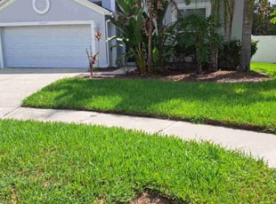 Carolyn B.'s grass maintenance service result