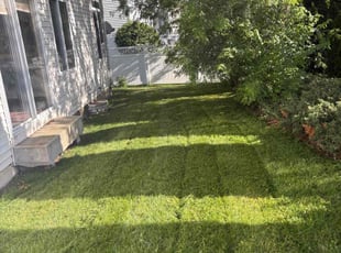 Mathew C.'s lawn service service result