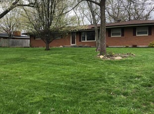 Khysha M.'s grass cutting service result