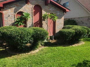 Natoya A.'s Bush Trimming service result