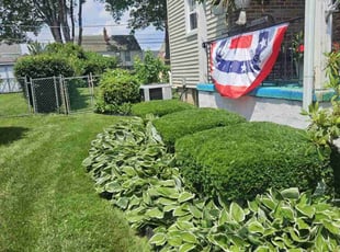 Ken H.'s Bush Trimming service result