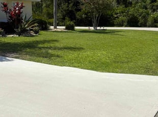 Michael A.'s lawn care service result