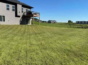 Sarah M.'s turf maintenance service result