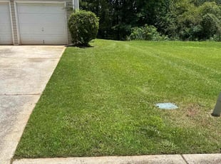 Martinique S.'s lawn care services service result