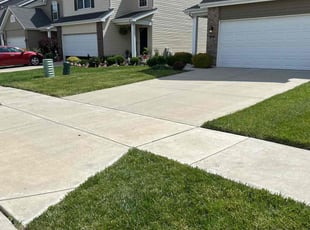 Niera S.'s turf maintenance service result