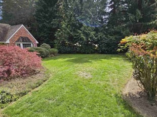nancy a.'s lawn care services service result