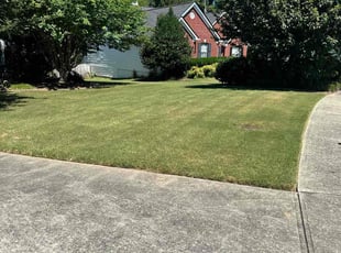 Sheila R.'s turf care service result