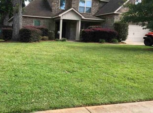 Krystal B.'s grass maintenance service result
