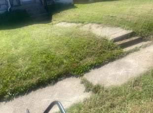 Tammy T.'s Bush Trimming service result