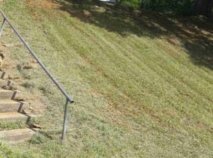 Rebecca B.'s grass maintenance service result