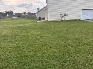 Surjit S.'s lawn care services service result
