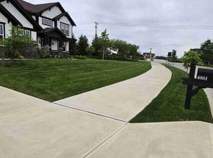 Brittany B.'s turf care service result