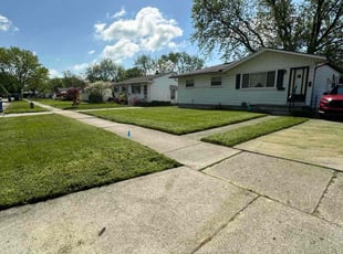 Robert S.'s grass maintenance service result