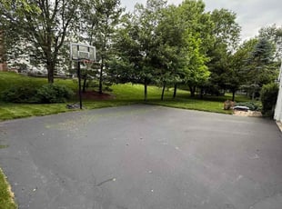 Adam L.'s lawn care service result