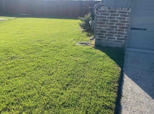 Tauna W.'s turf care service result