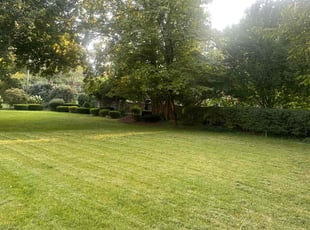 Scott Y.'s turf maintenance service result