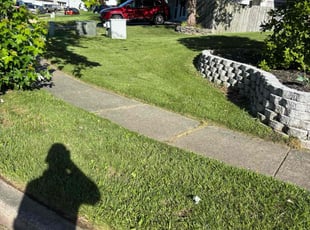 Lillie H.'s grass maintenance service result