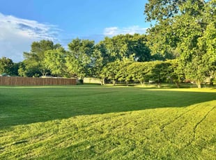 Christopher C.'s grass maintenance service result