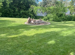 Cheryle C.'s turf maintenance service result