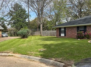 Corey B.'s lawn care service result
