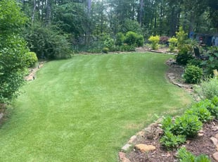 Mark K.'s lawn maintenance service result