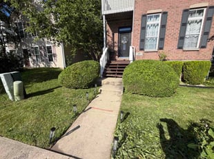 Mercedes D.'s lawn care service result