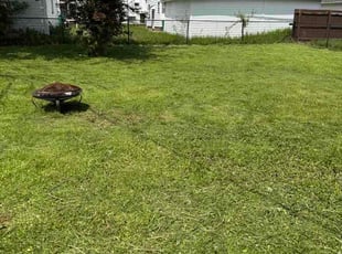 Matthew G.'s lawn care service result