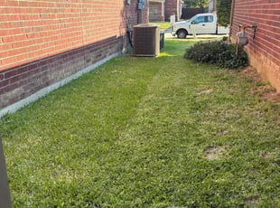 Michael G.'s grass maintenance service result