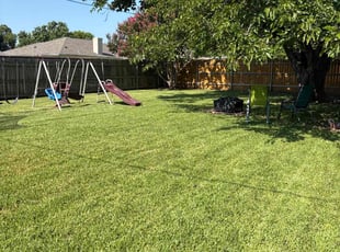Shu Z.'s grass maintenance service result