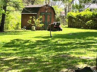 Yoandra M.'s grass cutting service result