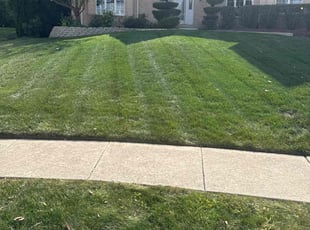 Richard B.'s lawn care services service result
